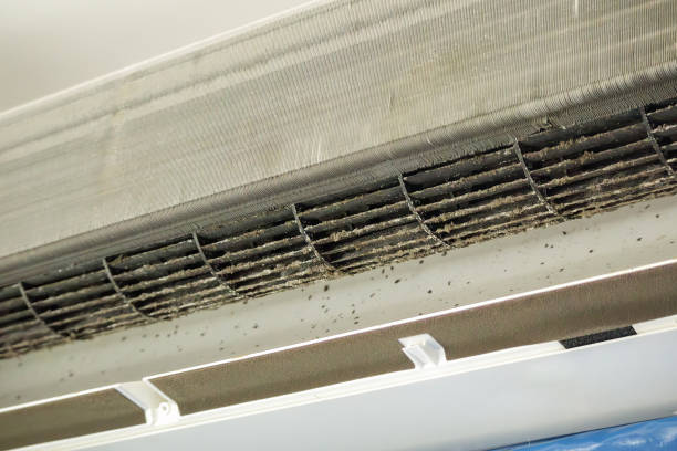 Best Duct Cleaning for Homes  in Wauseon, OH